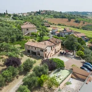 Il Cantinoccio Cerasolo